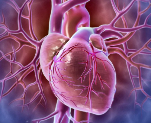 心肌炎常服的三个药是什么 心肌炎的六个危险信号是什么