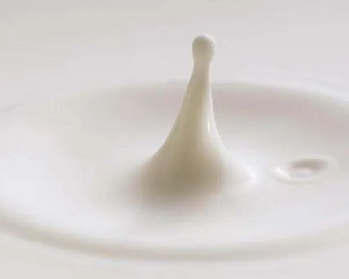 怎样用牛奶洗脸 纯牛奶的洗脸步骤是什么