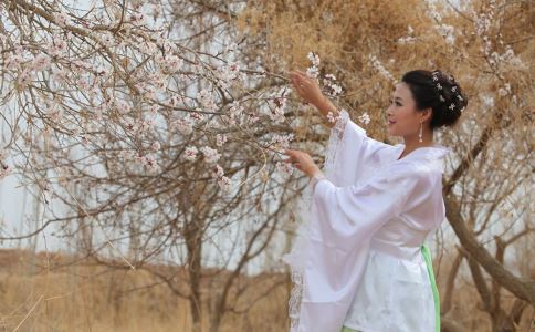 宋代女词人李清照