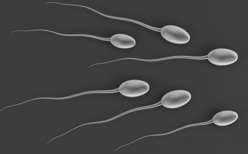 男人精子活力低能生育吗