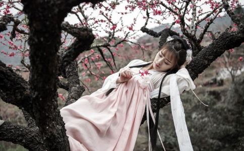 秦淮八艳之董小宛