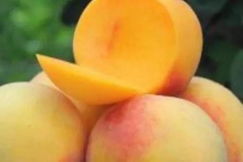 黄桃的功效和作用是什么 黄桃的四大营养价值是什么