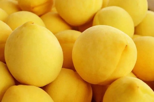 黄桃的功效与作用是什么 减肥时候能不能吃黄桃
